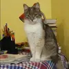Отзыв от Эмма Кудрявцева